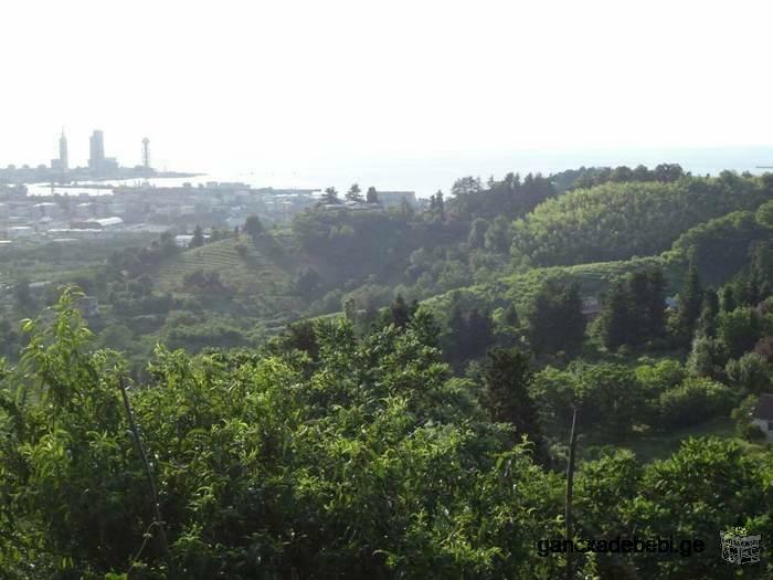 Land near Batumi, view of the city and the sea