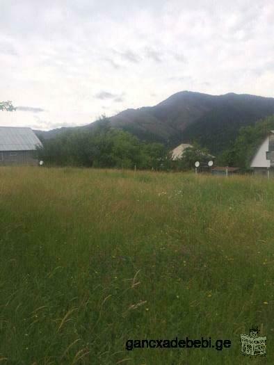 For sale in Borjomi district, village Mamazze village, 4km plot of agricultural land 1726 sq.m. is p