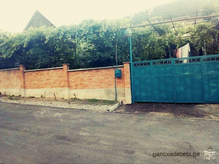 House for rent in Borjomi