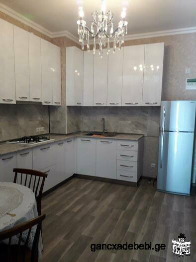 flat for rent. Tbilisi, Hualing