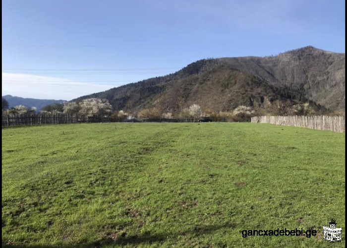 Land for sale in Sadgeri(Borjomi)