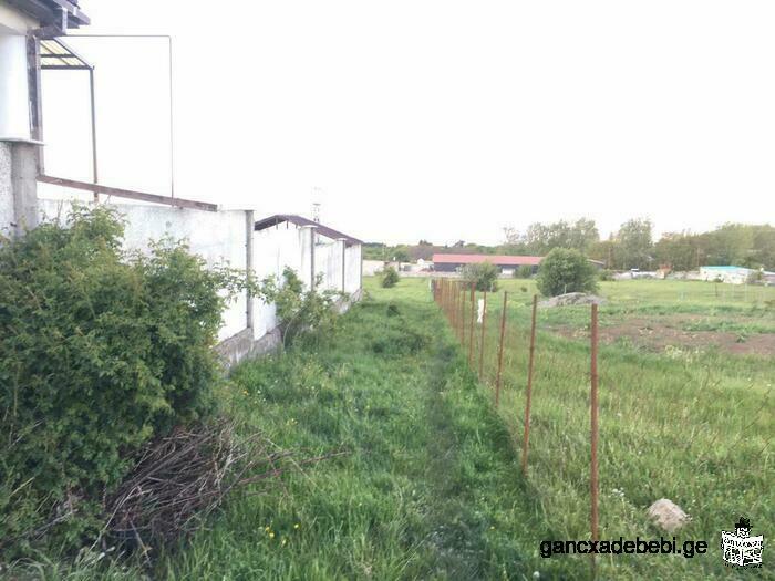 Land For Sale, Tabakhmela, Matsminda - 500 sq.m