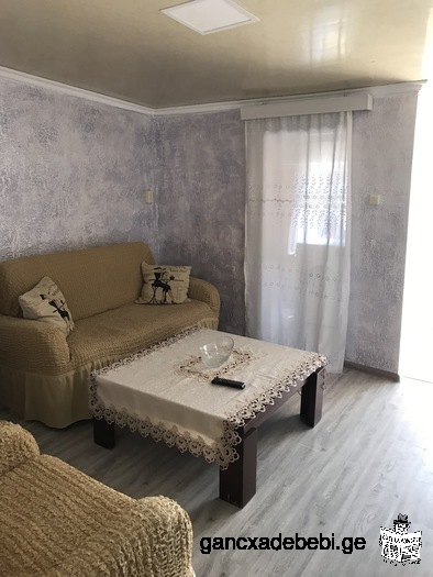 Daily rent, newly renovated apartment in a private house, with yard and parking