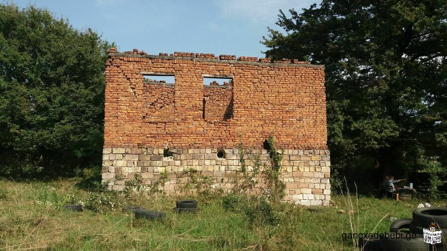 saswrafod! iyideba miwis nakveTi quTaisTan, banojis daCebze