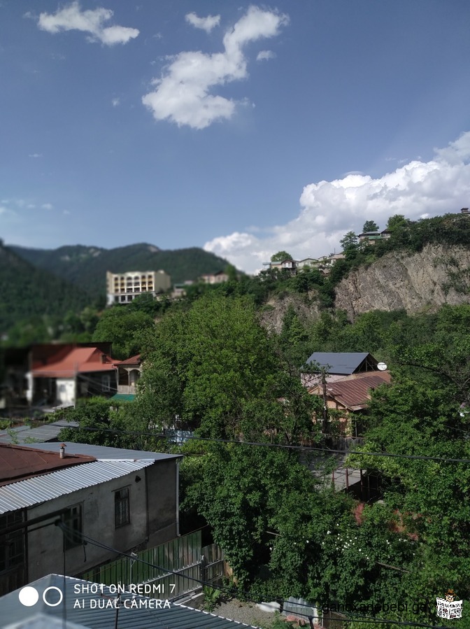 Apartment for rent in Borjomi.