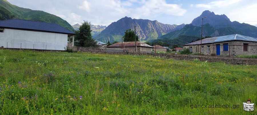 iyideba miwis nakveTi yazbegSi