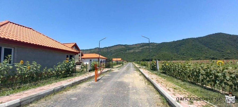 A land for sale in Kvareli, Kakheti