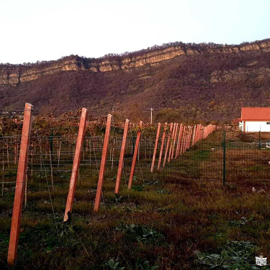 iyideba samosaxlo nakveTi venaxiT Rvinis sofelSi