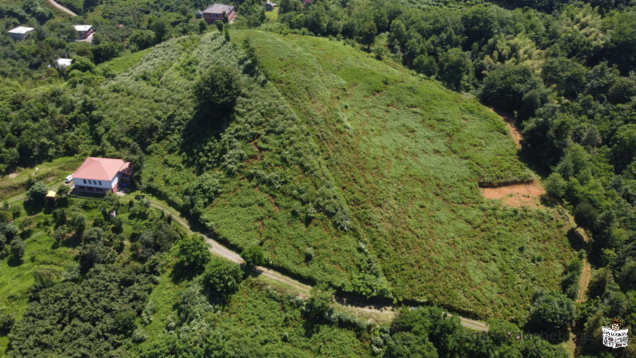 Non-agricultural land in Chakvi, Chaisubani, Ortabatumi, Charnali