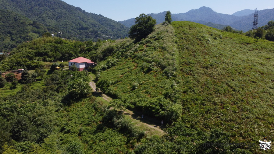 Non-agricultural land in Chakvi, Chaisubani, Ortabatumi, Charnali