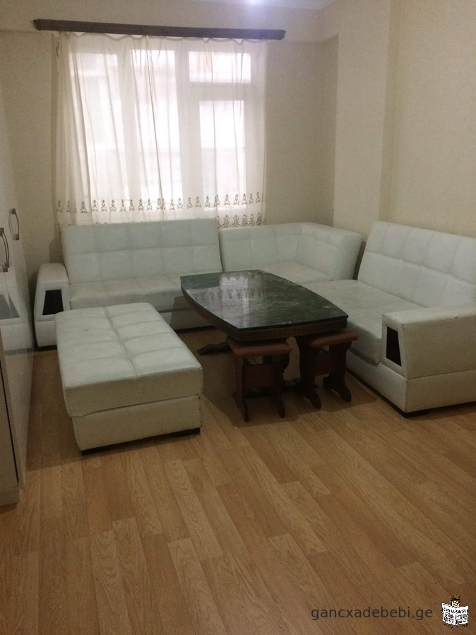 An apartment for rent on Dolidze Street.