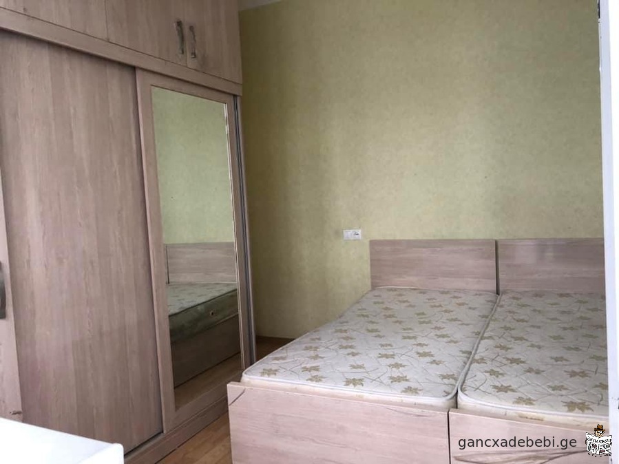 An apartment for rent on Dolidze Street.