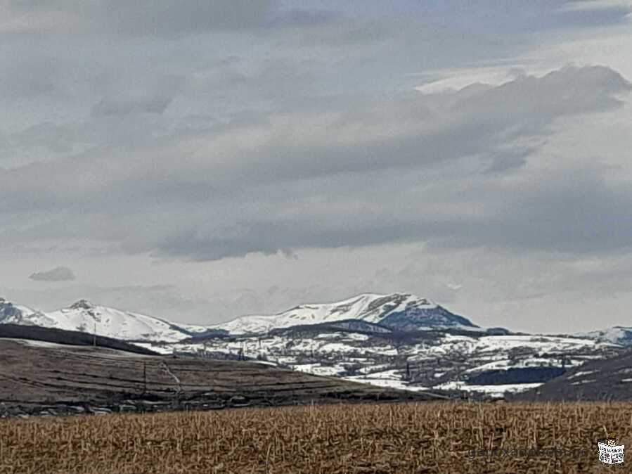 saswrafod iyideba miwis nakveTi duSeTSi