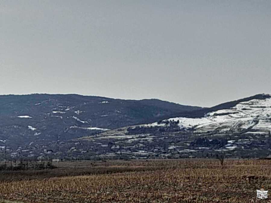 saswrafod iyideba miwis nakveTi duSeTSi