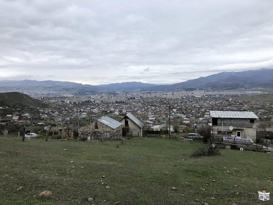 iyideba miwis nakveTi muxianis agarakebze