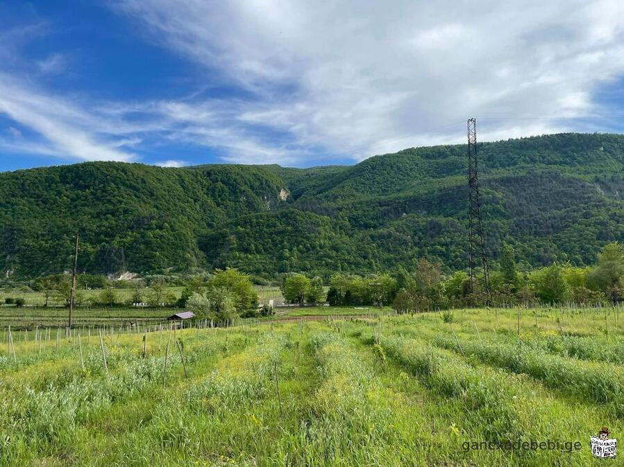 იყიდება მიწის ნაკვეთი რაჭაში, როფელ სადმელში