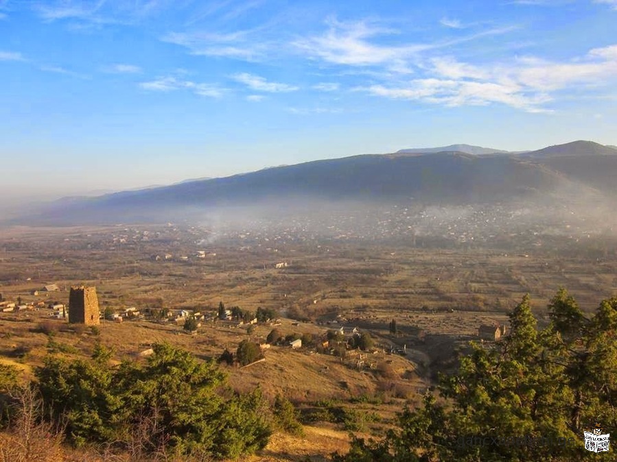 მიწის ნაკვეთი კასპი