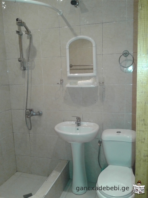 Apartment for rent in Tskneti district /Vake/ 450$