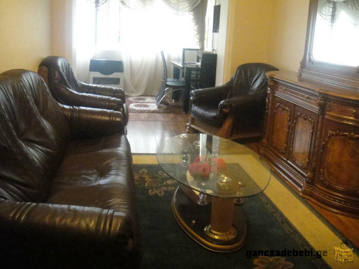 daily rent apartment in the center of Tbilisi