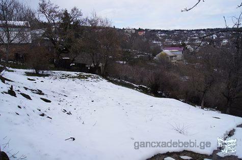 იყიდება მიწის ნაკვეთი კოჯორში, შესანიშნავი ხედით,1000 კვ/მ