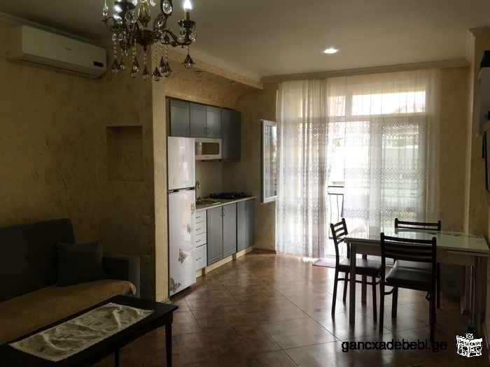 furnished apartment for rent