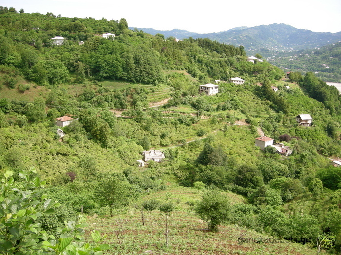 Plot of land in Batumi, Txilnari