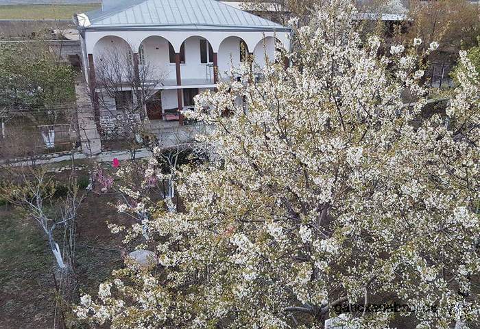 Guest hause in tbilisi