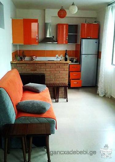 Apartament in Ureki 100m from Black Sea