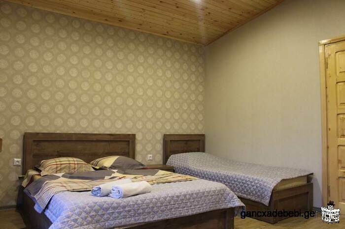 "Likani-house's cottage' for rent in Borjom