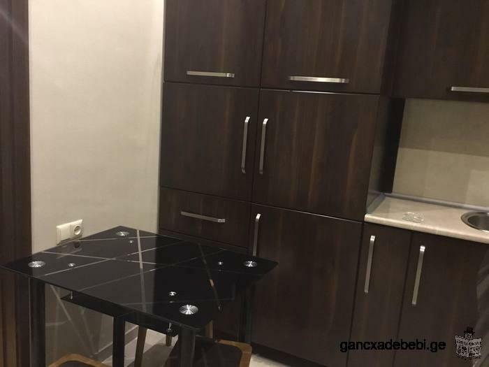 3 room flat for rent