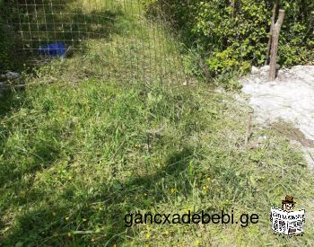 Agricultural land for sale in Gardabani municipality