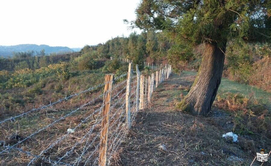 Agricultural plot of up to 5 hectares (49902.00) for sale, Ozurgeti municipality,