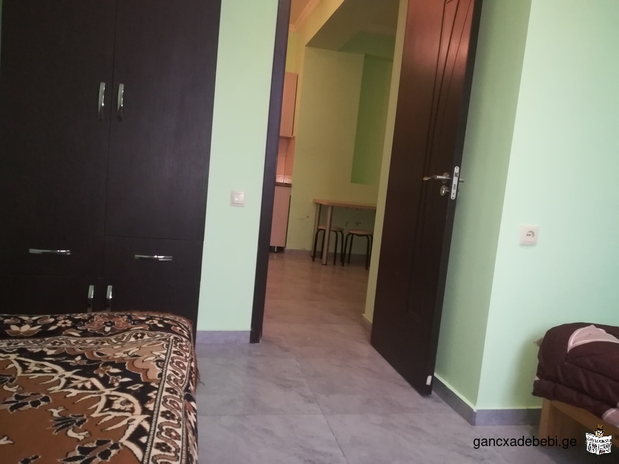 Apartment For Rent in Tbilisi