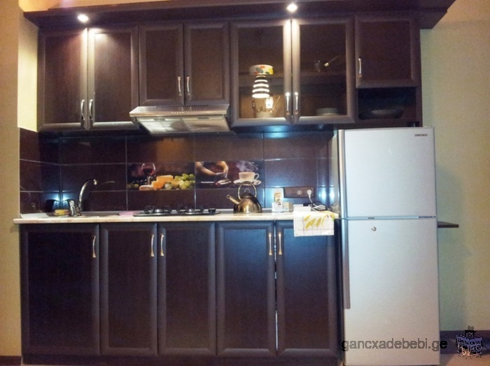Apartment for daily rent in Tbilisi