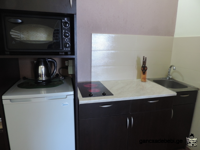 Apartment for rent In Bakuriani