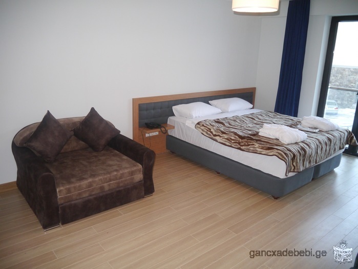 Apartment for rent at the hotel ORBI PALACE BAKURIANI ApartHotel & SPA.