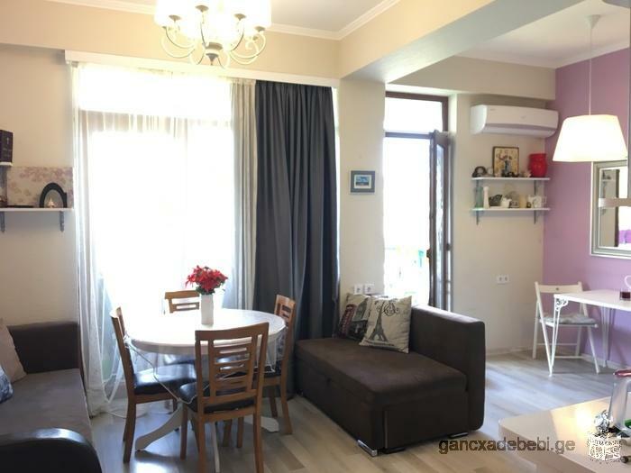 Apartment for rent in Krtsanisi