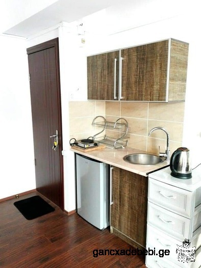 Apartment for sale in Bakuriani, in the complex :mgzavrebi"