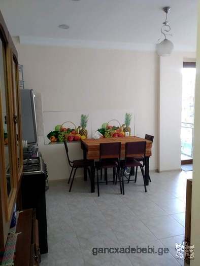 Flat for rent in Bakuriani