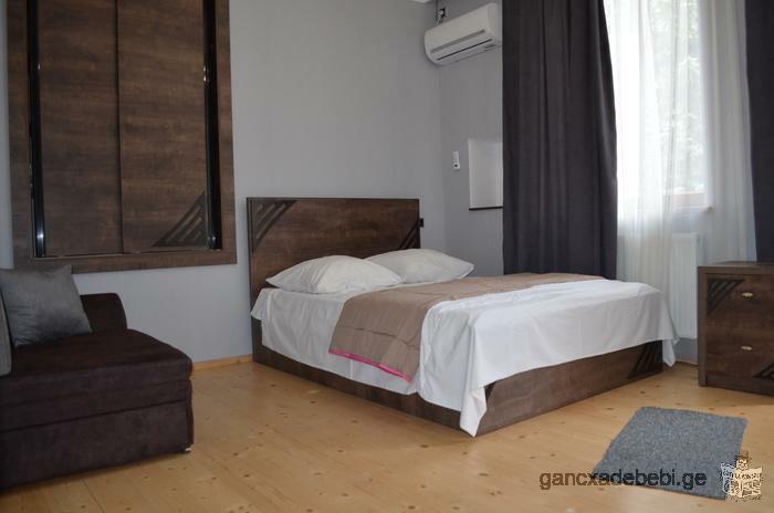 Flat for rent in Borjomi