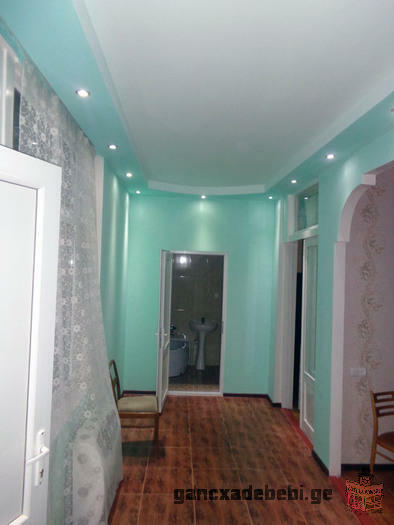 For long term rent 50 m2 renovated apartment , in a quiet place of the old Tbilisi on Metehi lane.