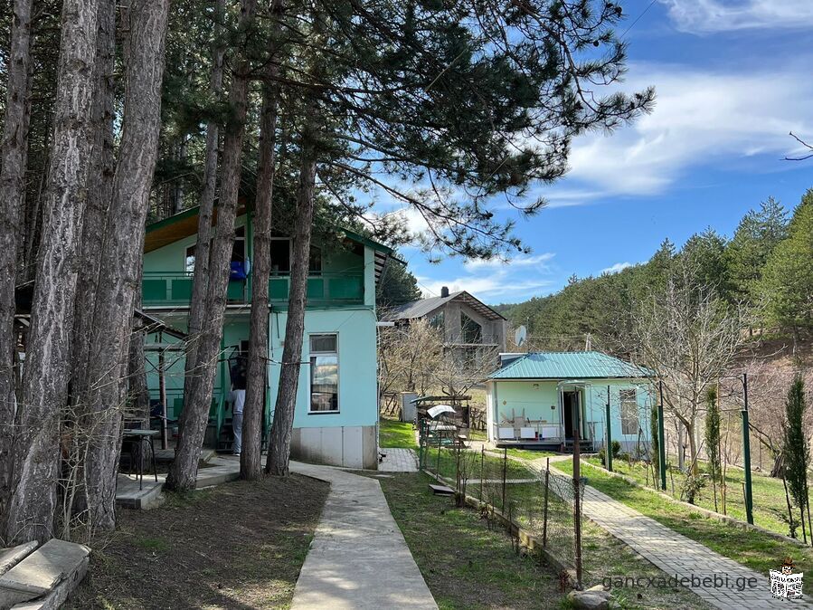 For rent Cottage/House in Surami
