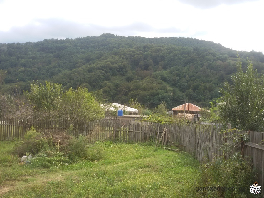 For sale in the best location, Kharagauli municipality, village 673 sq.m homestead plot in Borit