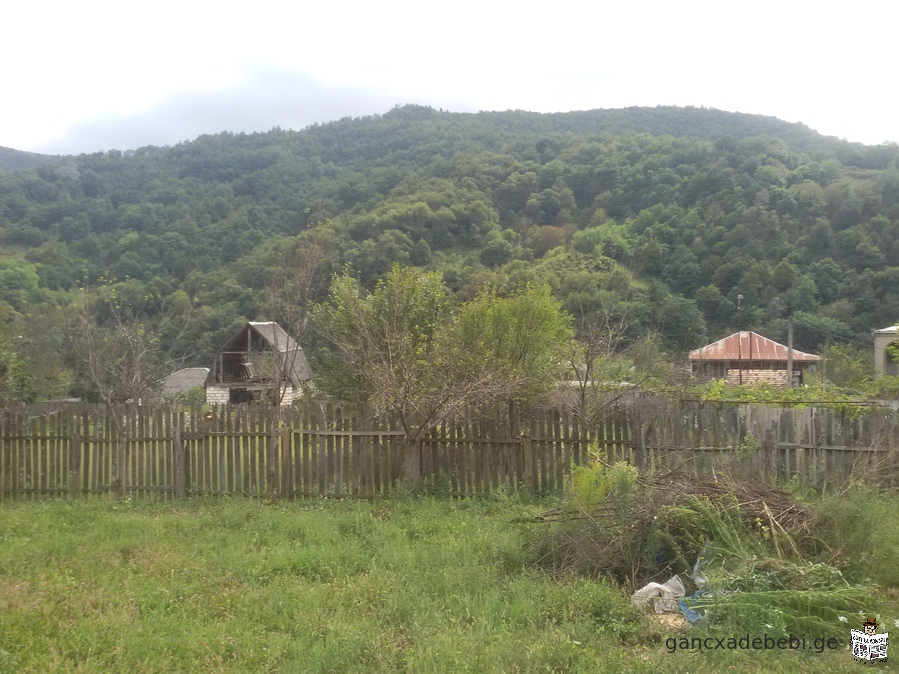 For sale in the best location, Kharagauli municipality, village 673 sq.m homestead plot in Borit