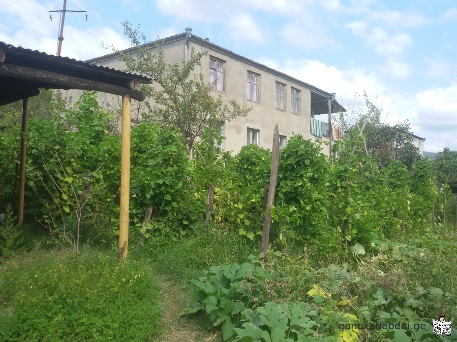 For sale in the best location, Kharagauli municipality, village 673 sq.m homestead plot in Borit