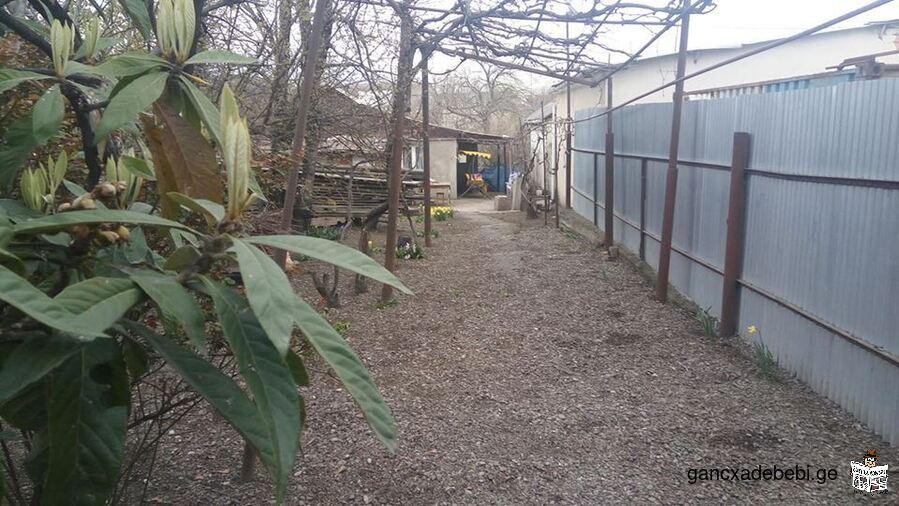 For sale urgently 82 sq.m. Private house in TBILISI (GEORGIA) 800 sq.m. The yard of fruit trees.