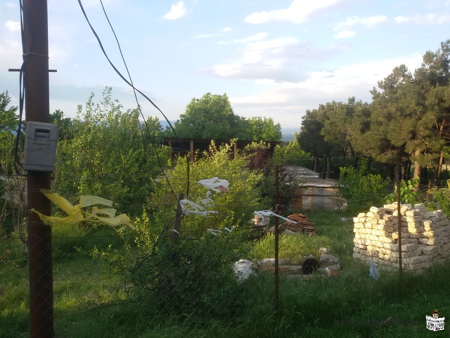 Gardabani, village of Krtsanis, homestead plot for sale (with trees)