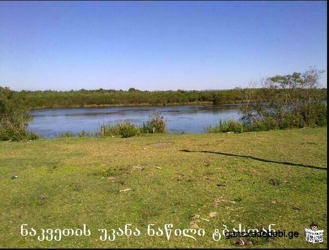 I am selling a plot of land in Anaklia