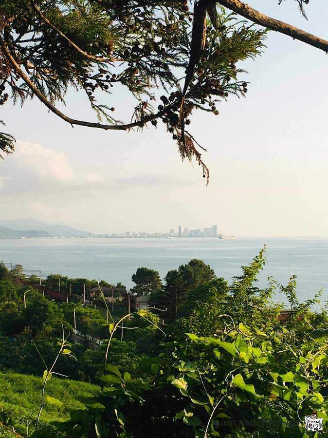 In Chakvi, in the resort area, a plot of 6900 sq.m. is for sale from the owner.