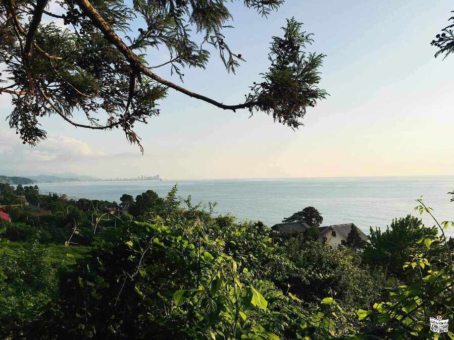In Chakvi, in the resort area, for sale, 6900 sq.m. A plot of land with a beautiful view of the sea